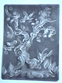 Chinese Tree, Monotype 8" x 11", second state