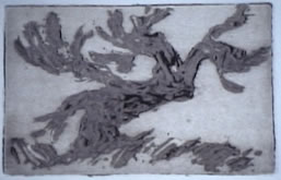 Gnarled Tree, Monotype 8" x 11", First stage