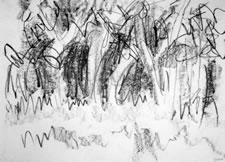 Grove of Trees, Graphite 18" x  24"