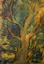 Oak Tree, Monoprint, hand colored 8" x 10"